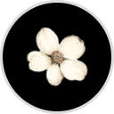 Historical Bestseller Bundle