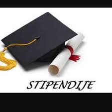 Stipendije.info logo