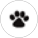 St Paul Veterinary Clinic