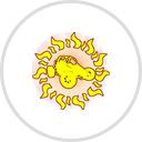 Sun Buggy Fun Rentals