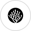 sunnysidecorals.com Logo