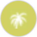 Surfside Oceanfront Hotel