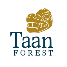 Taan Forestry Pay