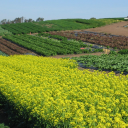 TANAKA FARMS UNIVERSITY