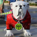 Taziki's Mediterranean Cafe