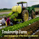 Tendercrop Farm