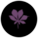 Thai Choice Restaurant