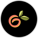 thegeorgiaflyover.com Logo