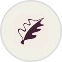 The International Company