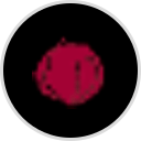 The Original Red Onion