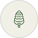 The Pinecone Up