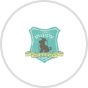 The Puppy Academy