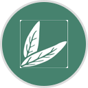 The Sage logo