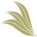 The Willows Community