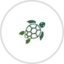 Tipsy Turtle Galveston