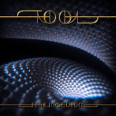 Tool Band logo