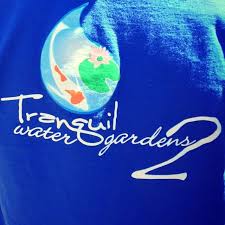 auto insurance savings