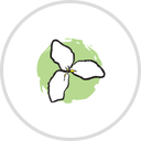 Trillium Montessori School