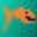 T Ri N's Tropical Fish