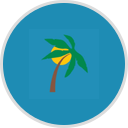 Tropical Bullfrog Spas logo