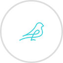 Sparrow logo