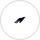 tsan