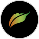 Turning Leaf Behavioral Health
