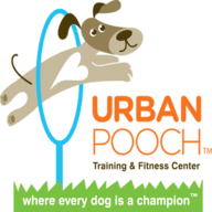 Puppy Paw Star Academy