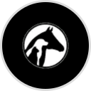 Valley Veterinary Clinic