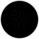 GRUPO VIDANTA BAHIA DE BAND