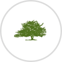 Wake Forest, North Carolina