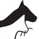 Wellspring Veterinary Hospital