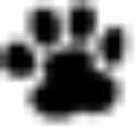 Westfield Veterinary Hospital