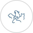 Westside Veterinary Center