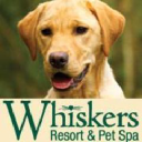 Whiskers Resort & Pet Spa