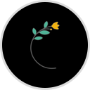 White Cloud Coaching