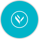 Women In Development, New York