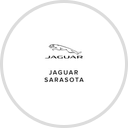 Wild Jaguar of Sarasota