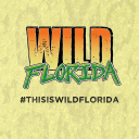 Wild Florida Airboats & Gator Park