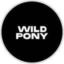Wild Pony Riding