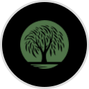 Willow Lake Lending Loan Payment