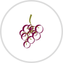 Wine and Liquor Outlet