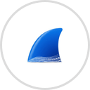 Wireshark Foundation logo