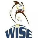Wise Staffing Group