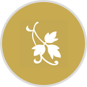 The Park at Salisbury