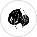 Woodland Hill Montessori School