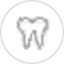 Palm Harbor Dentist